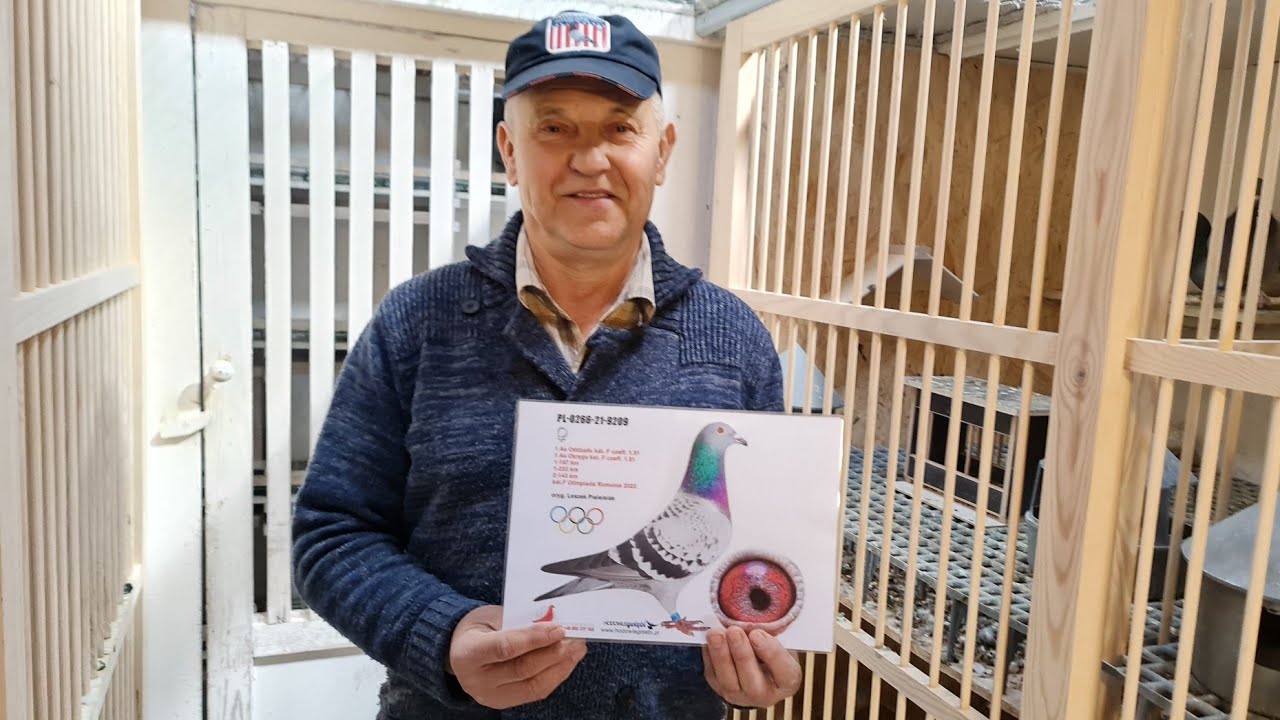 Leszek Pielesiak - PZHGP 0266 Strzelce Opolskie / Przed sezonem w hodowli Mistrza Polski Kat.A 🏆💪🤩