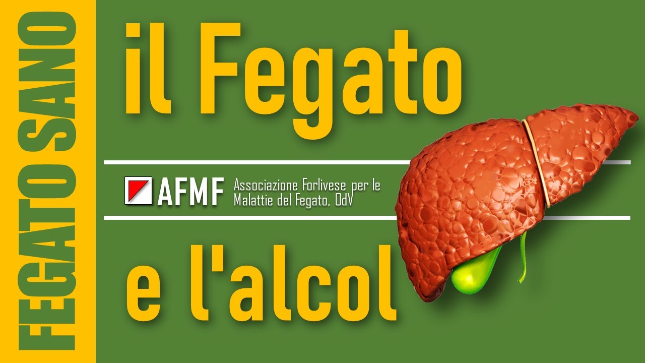 Il fegato e l'alcol