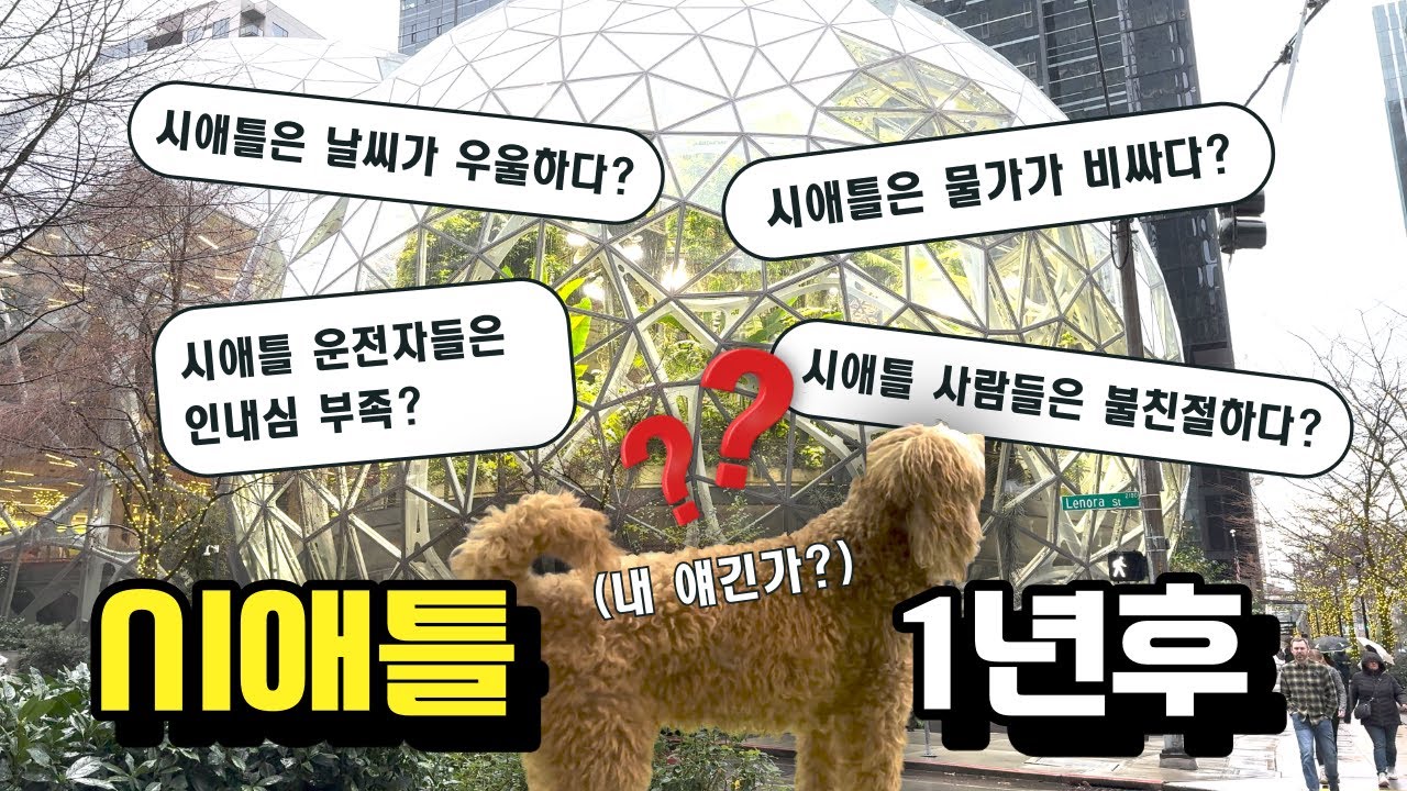 [미국소소일상🇺🇸] 시애틀살이 1년차 느낀점 그대로! | 달라스 vs 시애틀