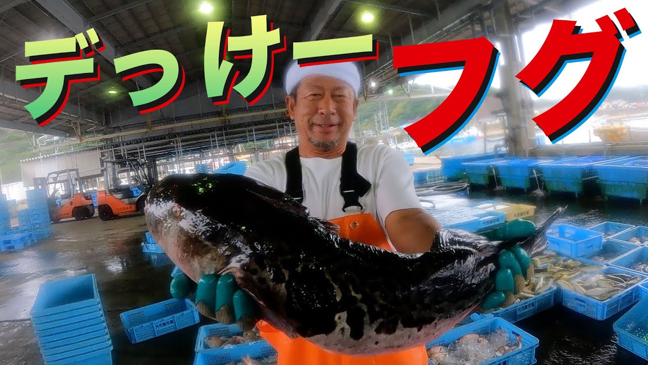 【超巨大】久しぶりに大物が手に入りました！！