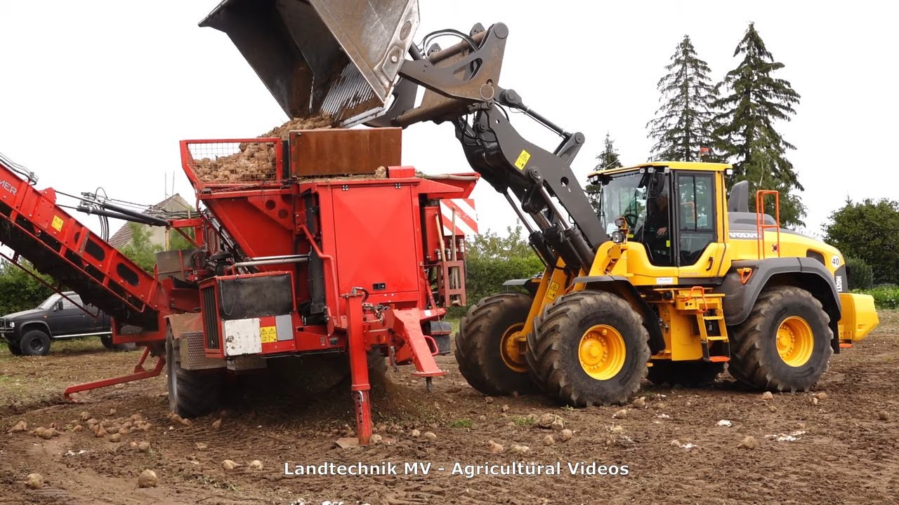 Volvo - Holmer - + / Rübenverladung - Loading Beets  2020 pt1