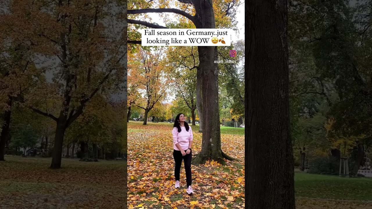 Loved the colors of Autumn in Germany..🍂🧣#indianingermany #marathi #autumn #nature #fall #berlin