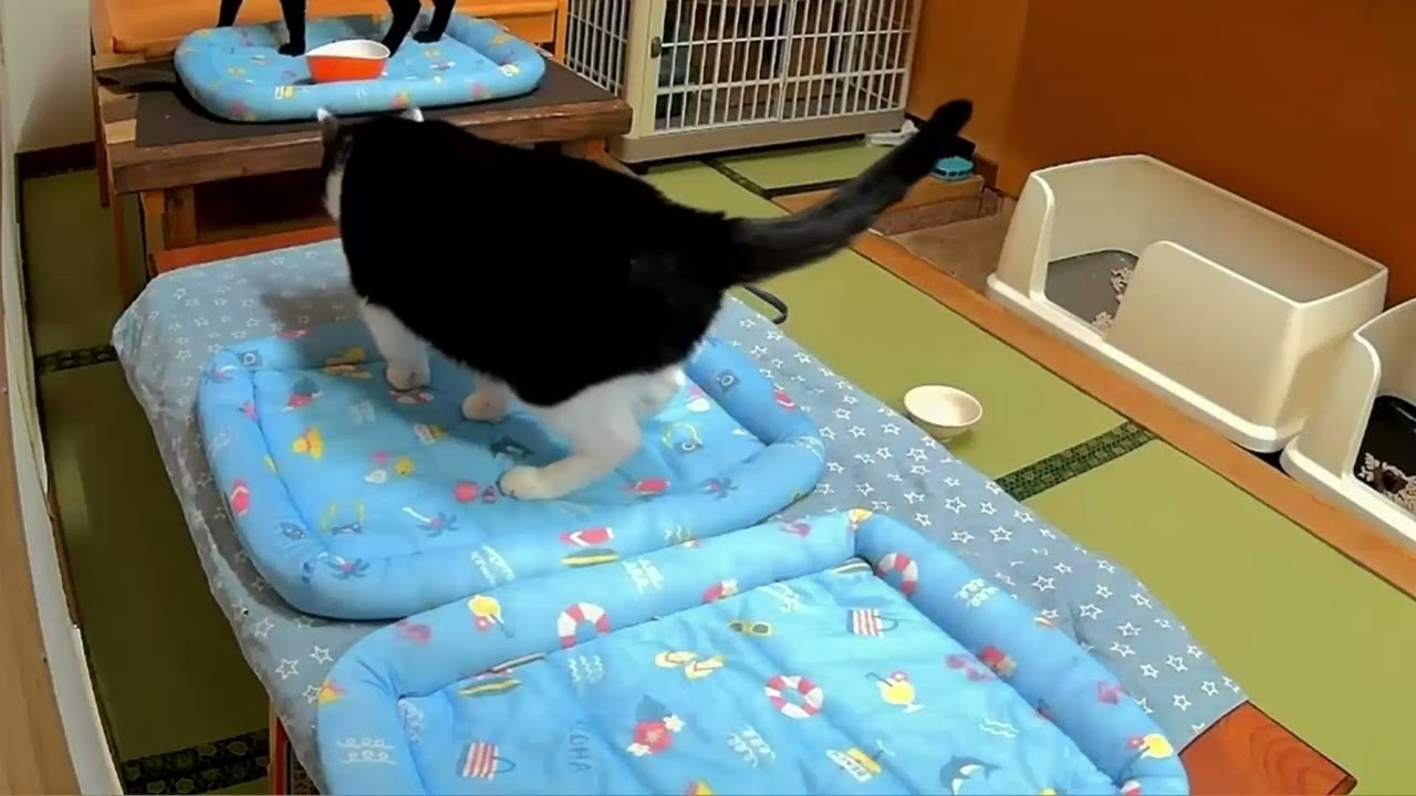 おしっこチニくん
