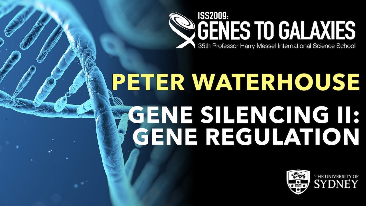 Gene Silencing II: Gene regulation &mdash; Professor Peter Waterhouse
