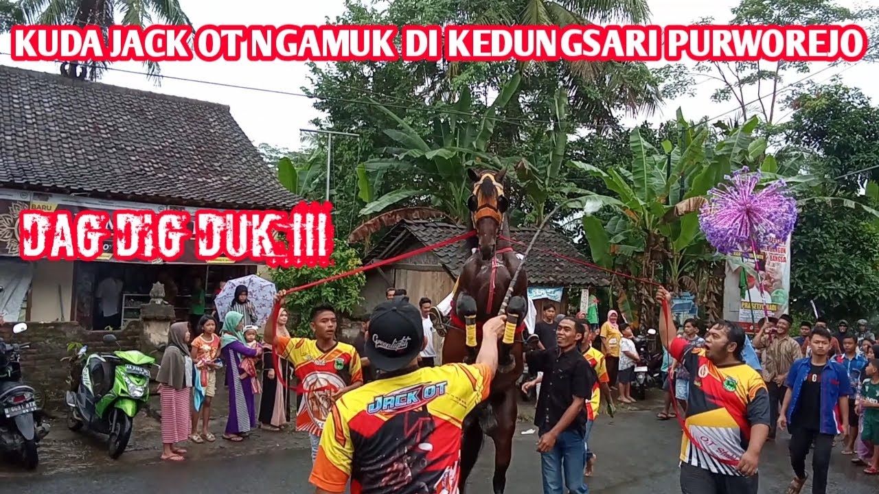 JACK OT NGAMUK ‼️ ARAKARAKAN KUDA JINGKRAK SUPER DI KEDUNGSARI PURWOREJO JAWATENGAH