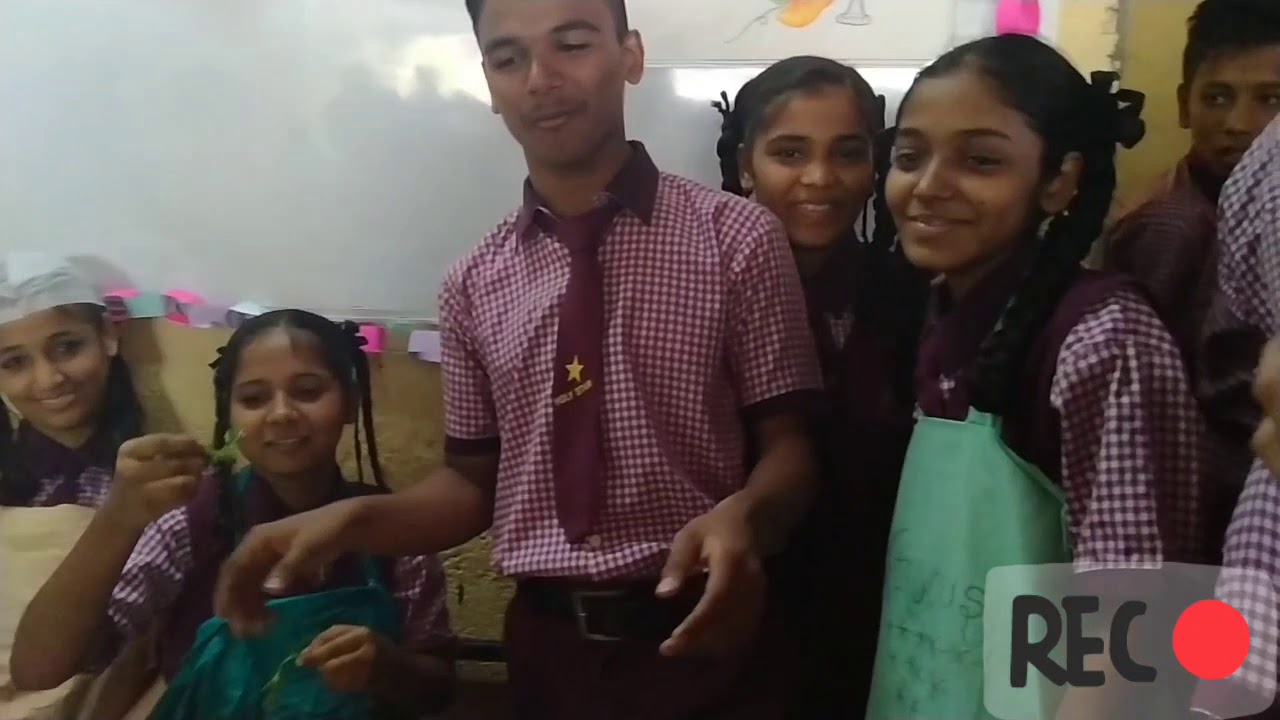 Vlog-4 | Food Carnival | Secondary Section