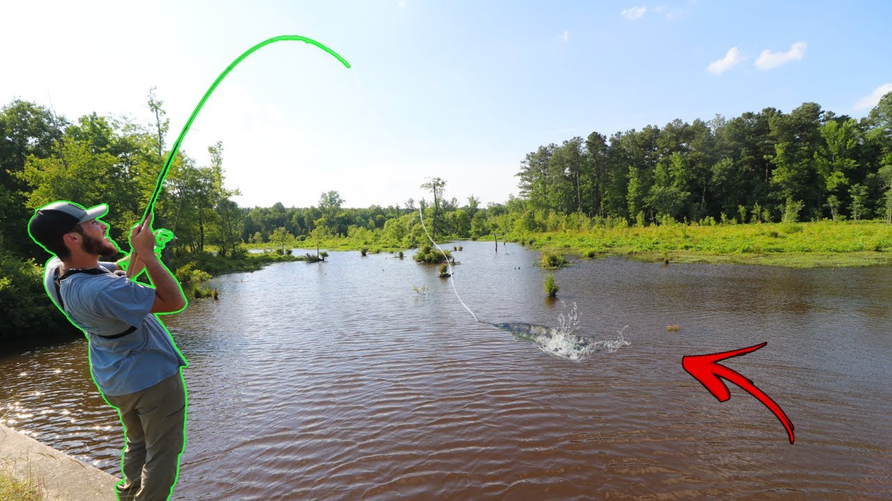 How To Catch GAR And BOWFIN (Tips & Techniques 2020)