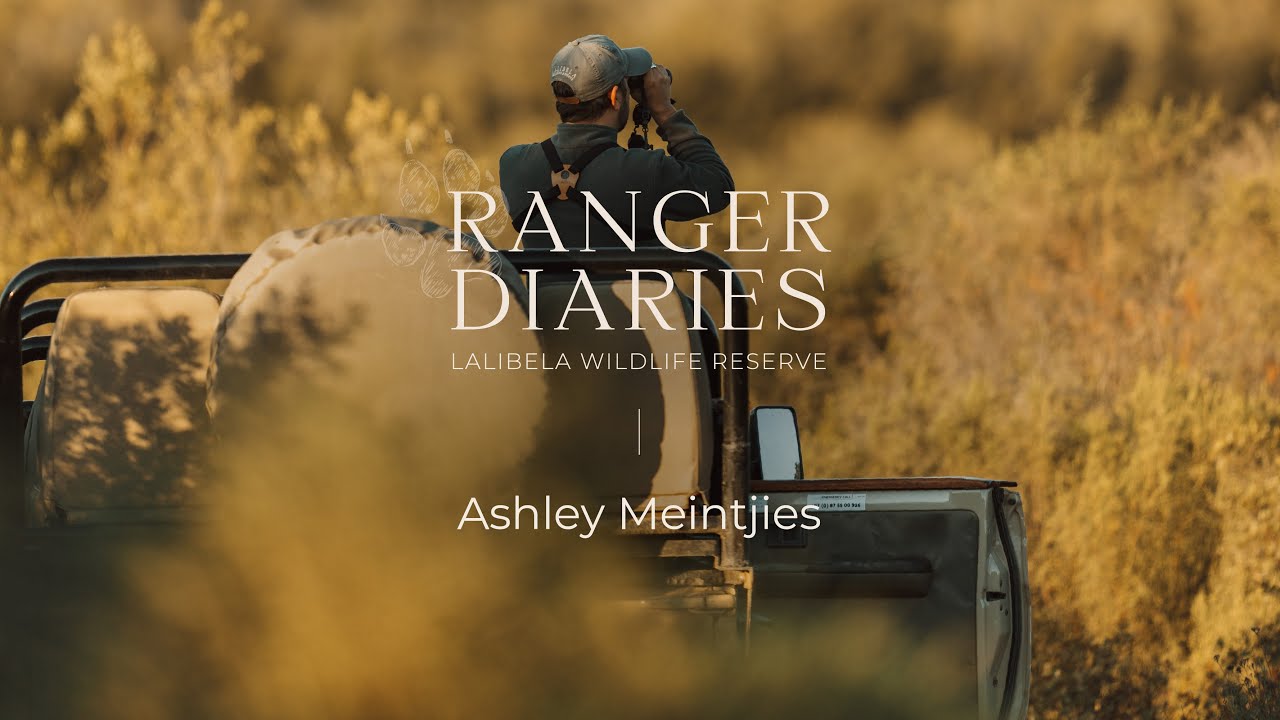 15 Years in the Wild: Meet Ashley, Lalibela’s Guide Manager
