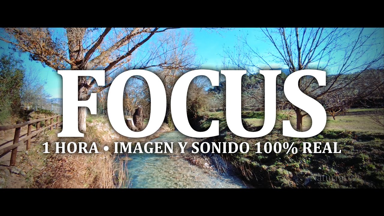 Sonido de río (1 hora). Paisaje natural para relajarse, estudiar o mindfulness