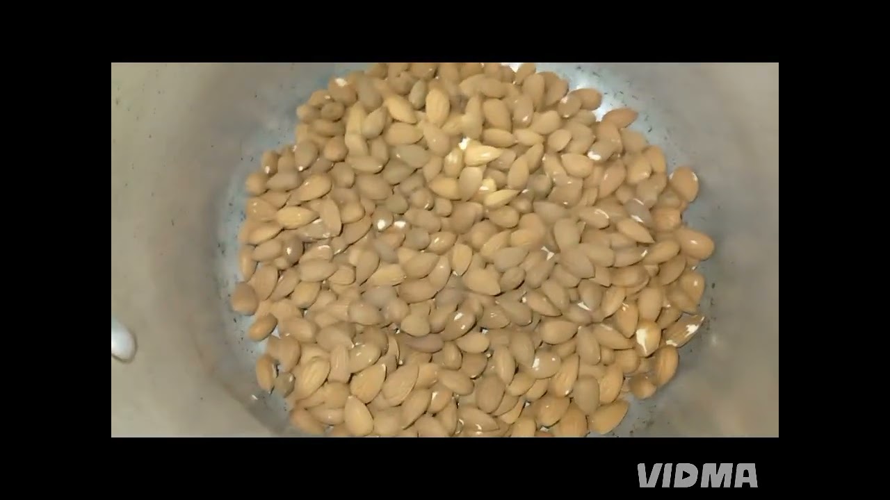 طريقتي في الصفوف اللي🥜 كاتجي رائعة واللي دقة عندكم يقول لكم وريوني الطريقة عن مقادير وطريقة التحضير👍