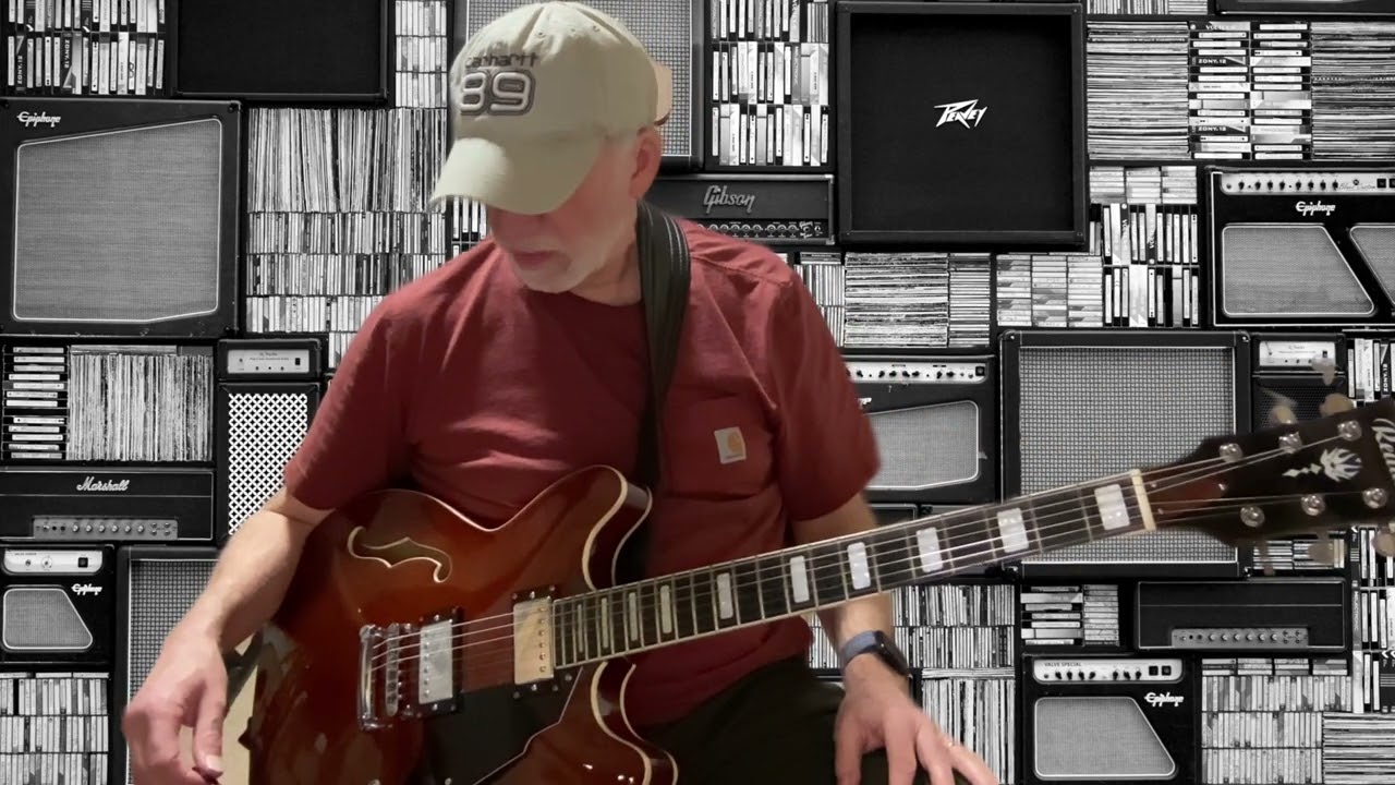 ES 335  STYLE GUITAR ON AMAZON FOR 175 BUCKS ! REDID SEMI HOLLOW