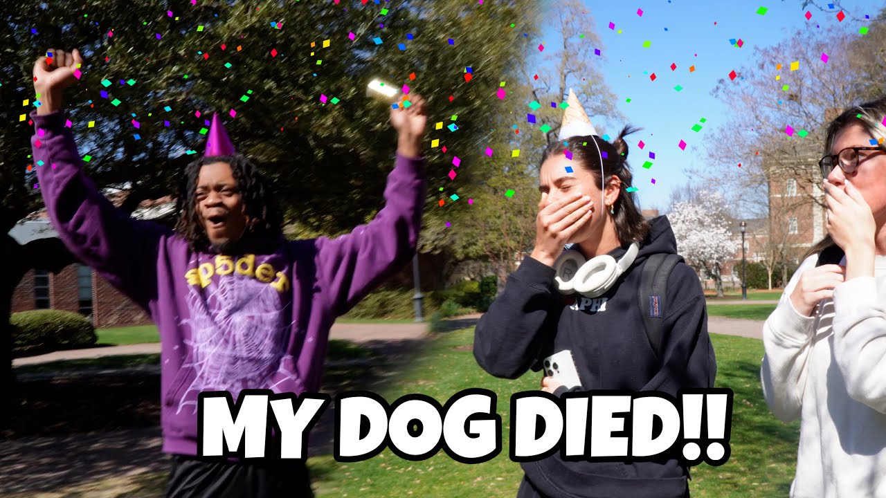 Celebrating Negative Things!