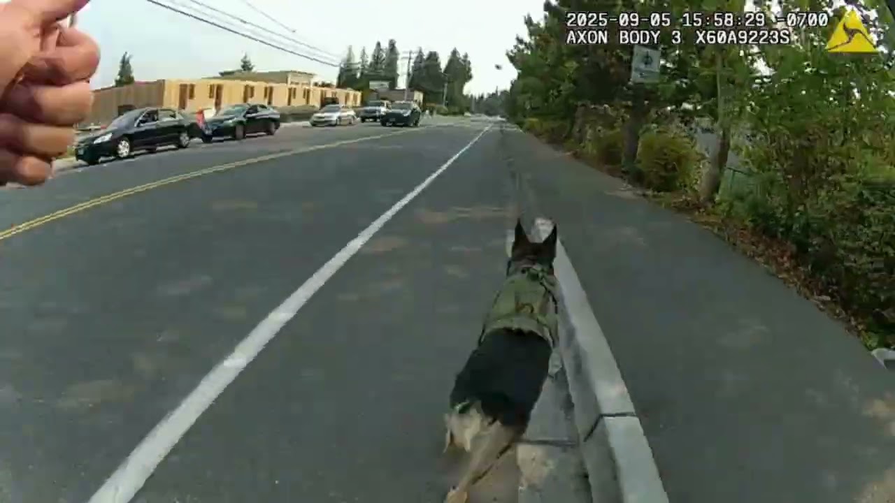 K-9 Greg Captures Suspect after Police Pursuit