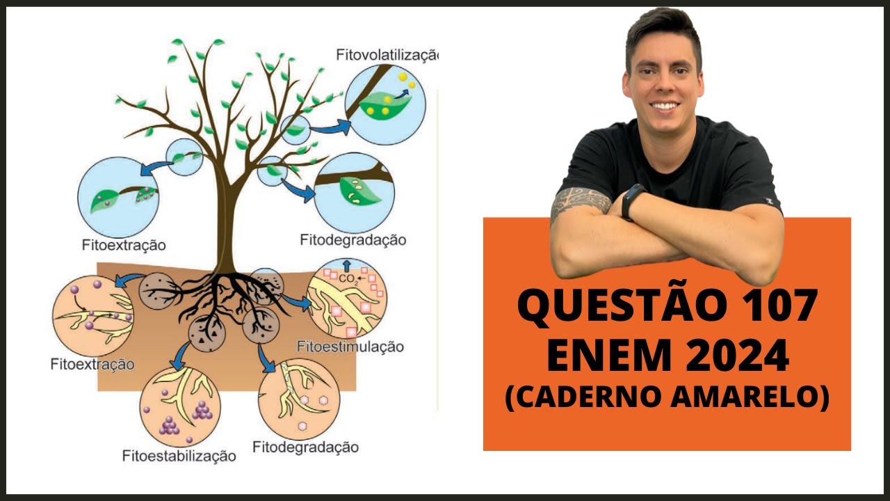 BIOLOGIA ENEM 2024! "A fitorremediação é uma técnica que utiliza plantas para a remediação..."