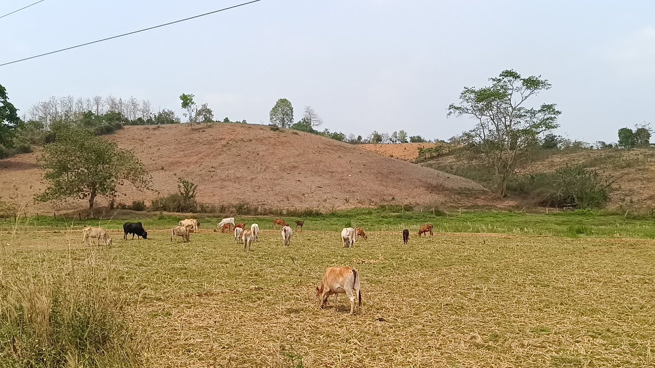 เที่ยวลาว :ไปบ้านท้าวแก่นที่เมืองแก่นท้าว #laos