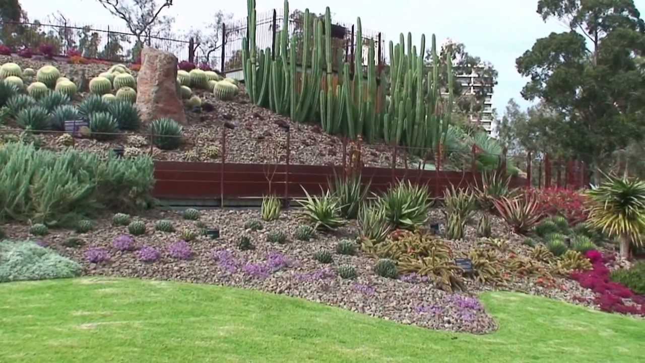 Arid Garden at the Royal Botanic Gardens Melbourne