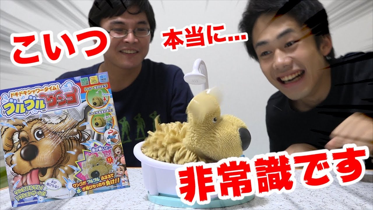部屋をビシャビシャにする犬がめちゃめちゃ面白かったwww