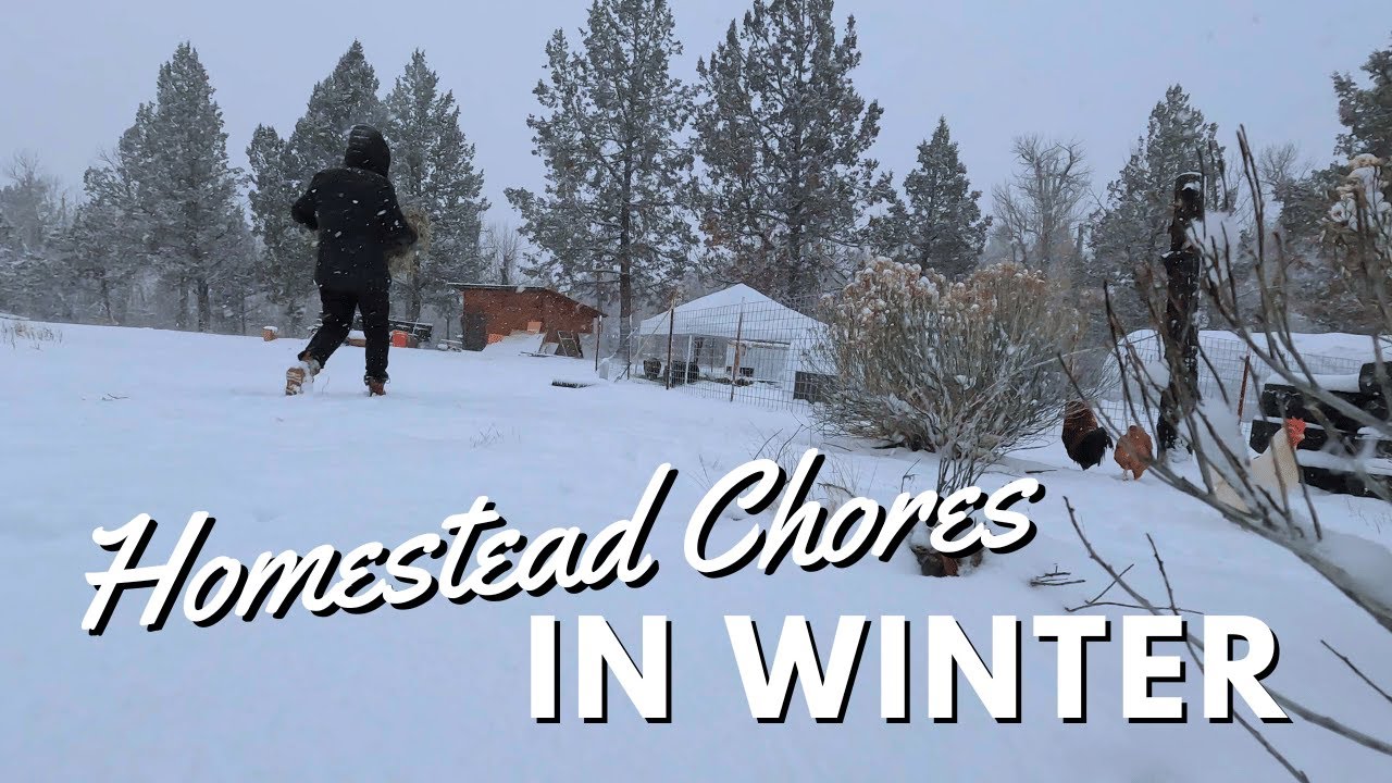 Winter Homestead Chores | S3 E2 | Snowy Day In The Life
