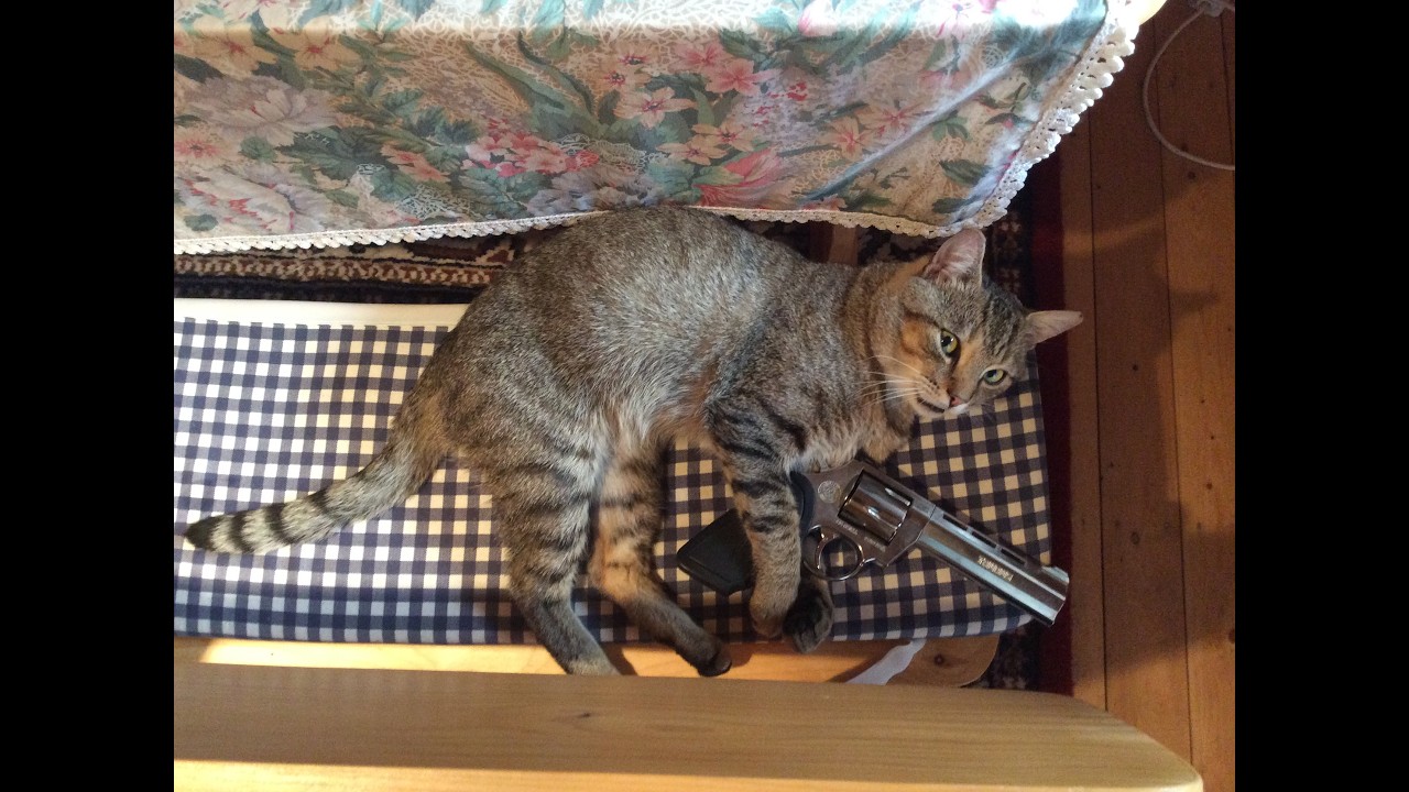 Черепаха  #backpackbrawl #iljanemesisgen