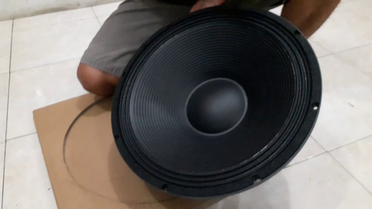 Speaker Lavoce Italiana