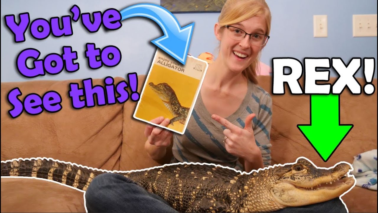 Storytime with our Alligator Rex!
