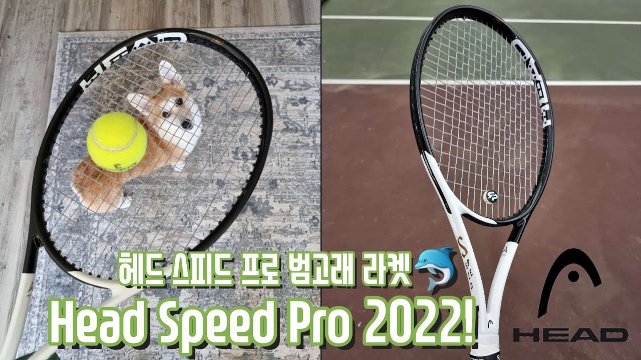 (🎾미국 테니스🥎)라켓 Head Speed Pro 2022, 헤드 스피드 프로 범고래 테니스 익스프레스, 시타, 미국 실내🛒테니스익스프레스🛒/tennis/tennisexpress