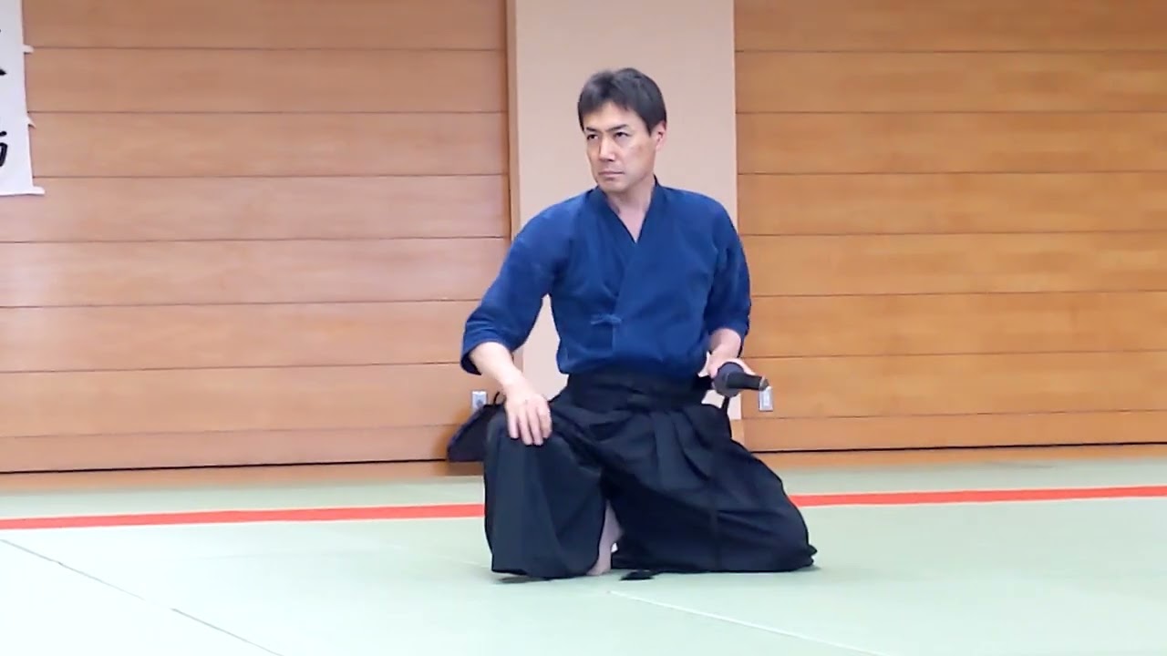 👀#HL1　#TENSHIN SHO-DEN #KATORI #SHINTO -Ryū #Swords #Weapons Hard Hit to #Prevent #Shapes #Stolen