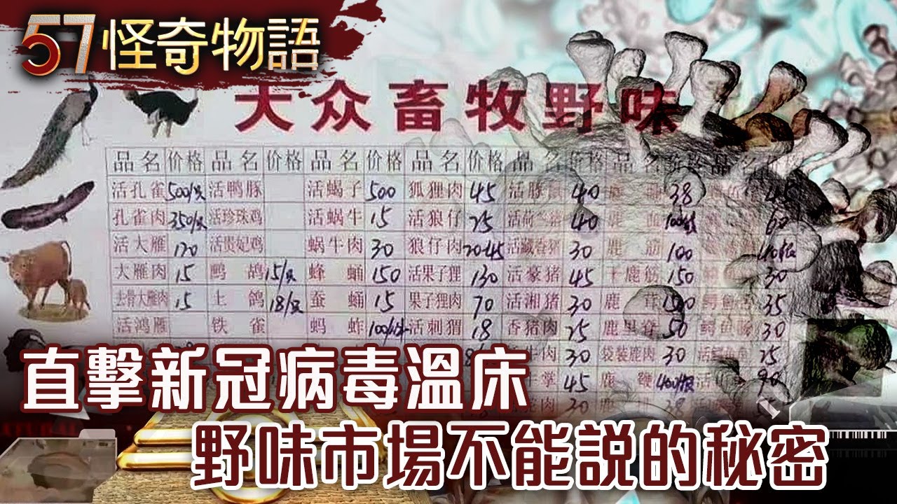 直擊新冠病毒溫床 野味市場不能說的秘密【57怪奇物語】