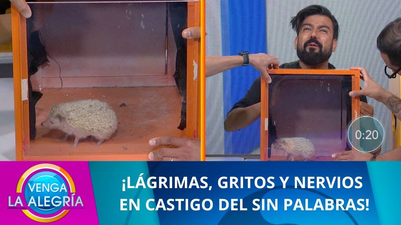 ¡Les tocó un horrible castigo en el Sin Palabras! | Programa 02 mayo 2022 PARTE 2 | Venga La Alegría