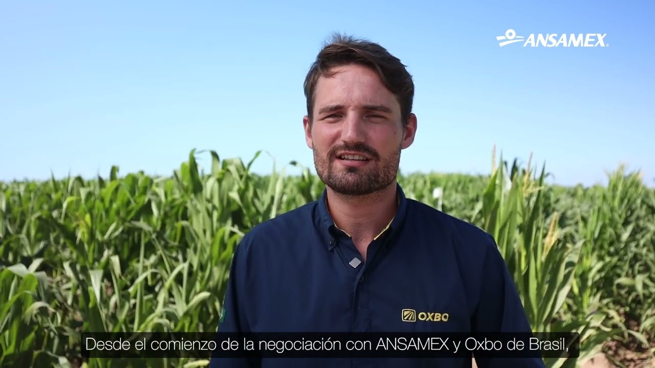 Colaboración Internacional: La Desespigadora OXBO 5175 Llega a México importada por Ansamex
