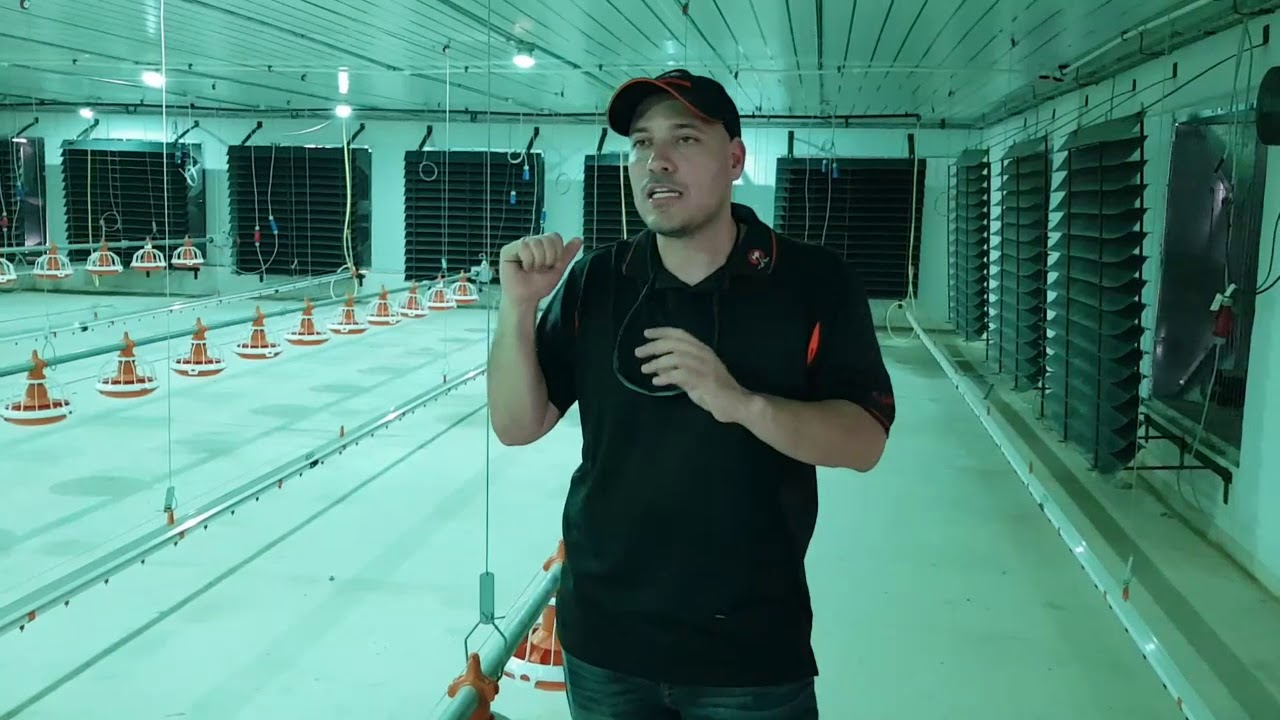 Galpon Pollo engorde Ultima Tecnologia Big Dutchman INC.