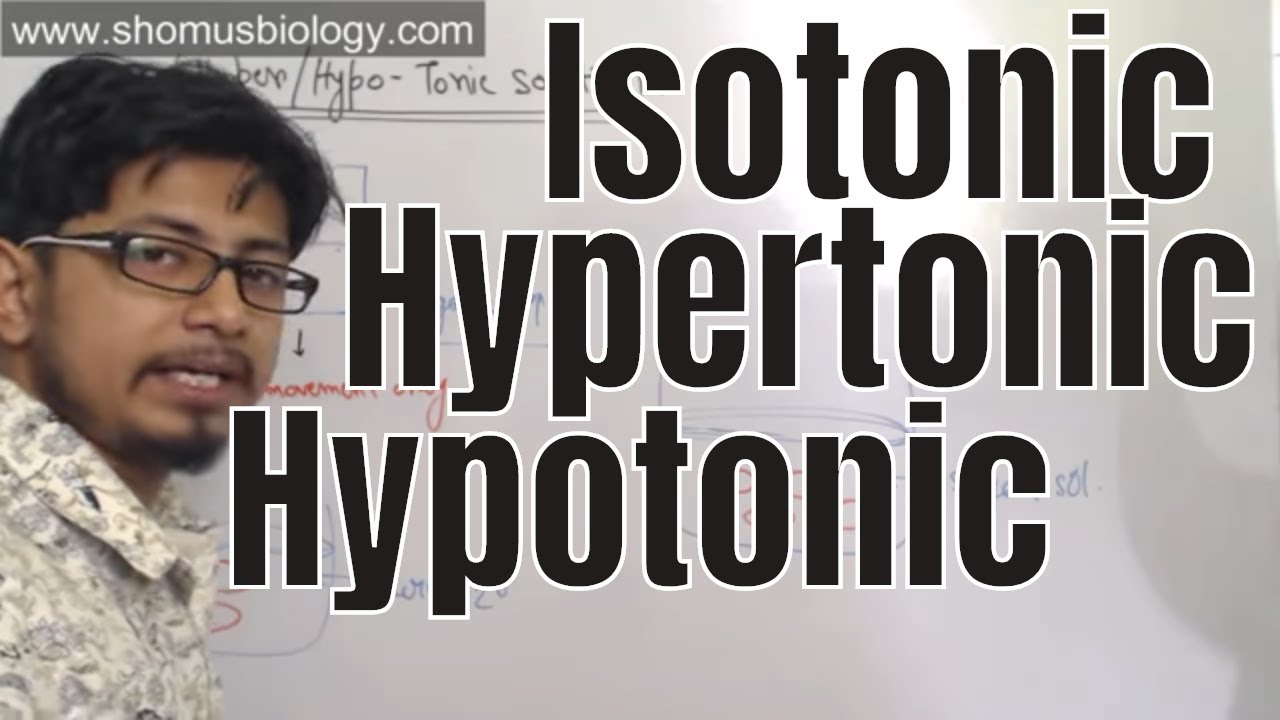 Isotonic solution hypertonic solution and hypotonic solution