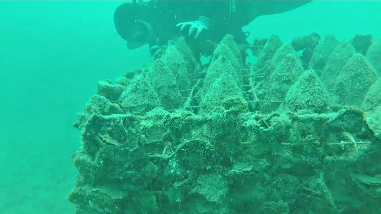 &laquo;Подводная выдержка&raquo;: хорват хранит вино в море (новости)