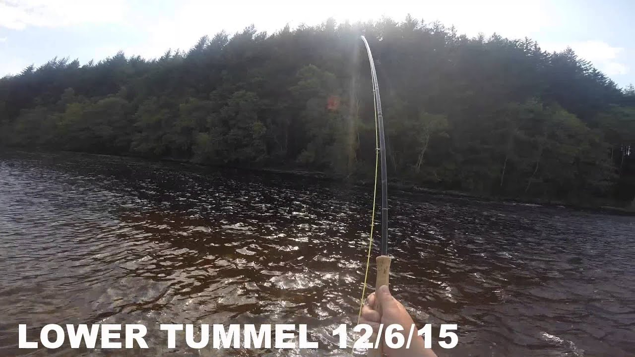 LOWER  TUMMEL 10LB 12:6:15