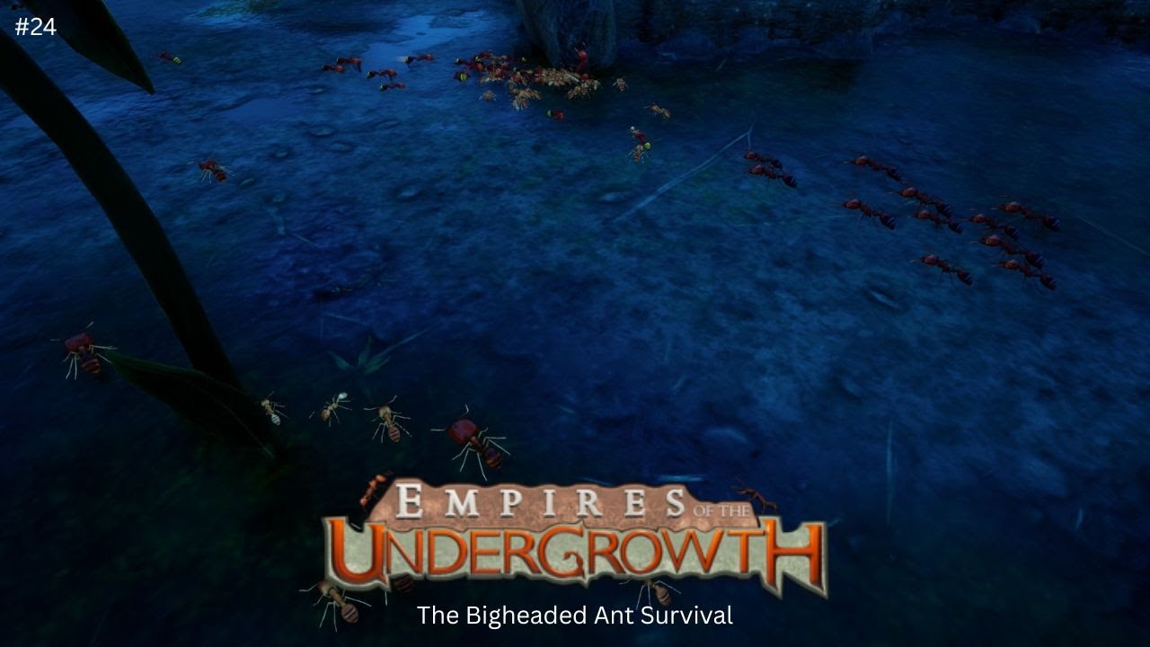 Empires of the Undergrowth Freeplay #24, The Bigheaded Ant Survival, No Commentary