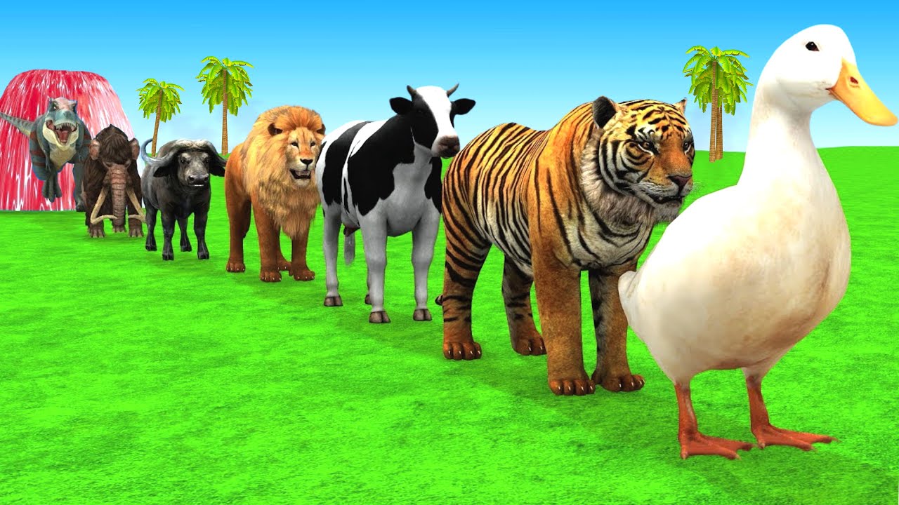Long Slide Game With Cow Elephant Gorilla Hippopotamus Tiger 3d Animal Game Funny 3d AnimalsVideo