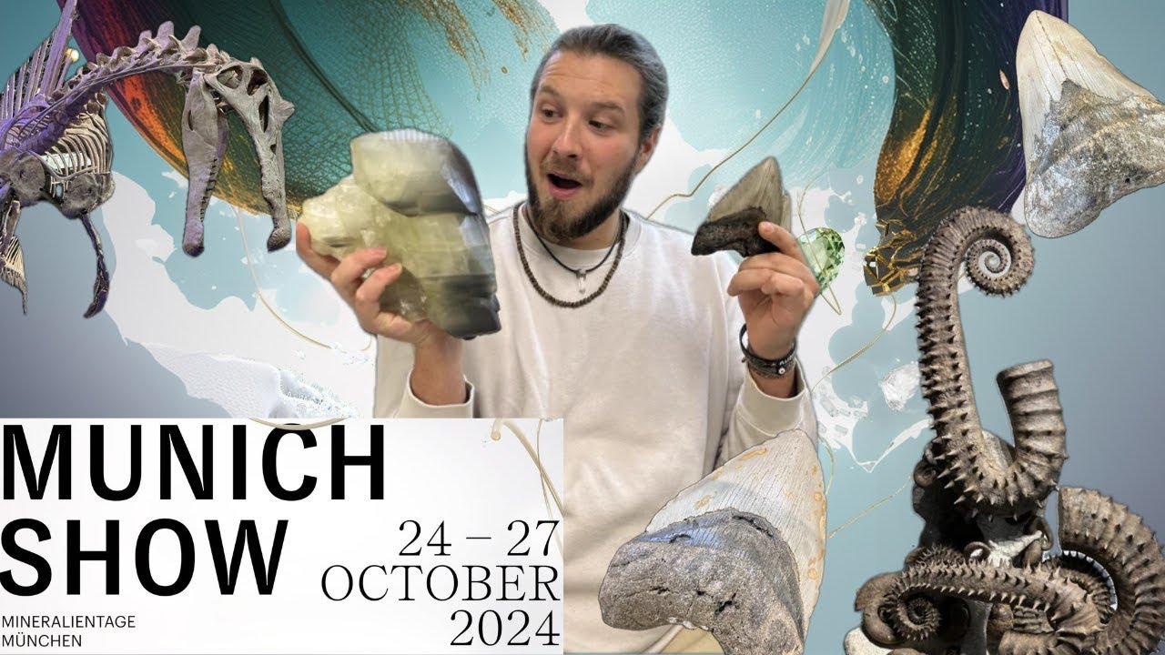 Immerso tra DIAMANTI e Denti di MEGALODONTE Munchen Mineral Show 2024 ￼
