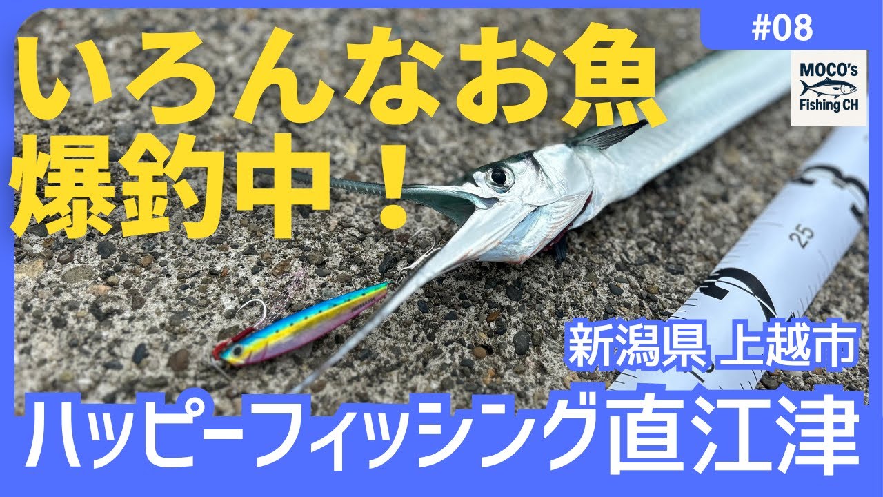 人気の管理釣り場は凄かった！【ハッピーフィッシング直江津】【直江津港第3東防波堤】