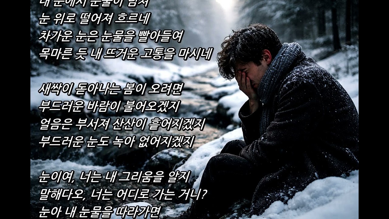 슈베르트 Die Winterreise 겨울나그네 Wasserflut 넘쳐흐르는 눈물 Cello & Piano