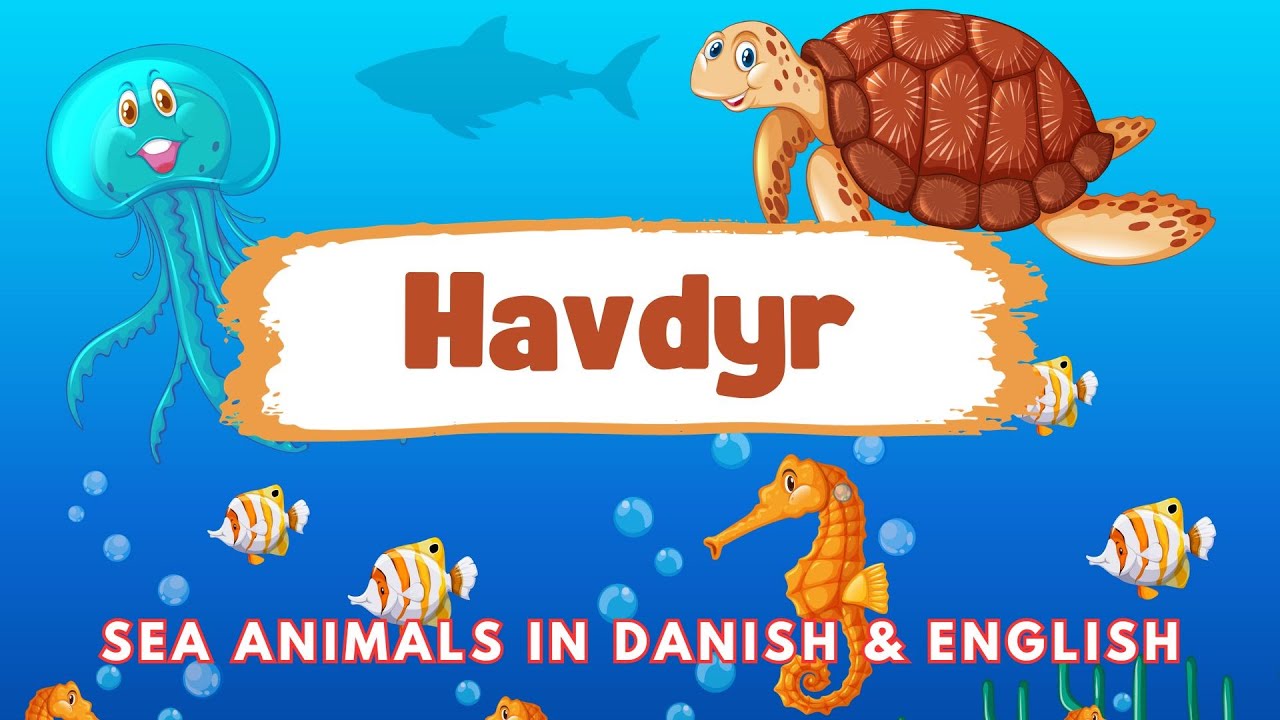 Havdyr - Sea Animals in Danish & English