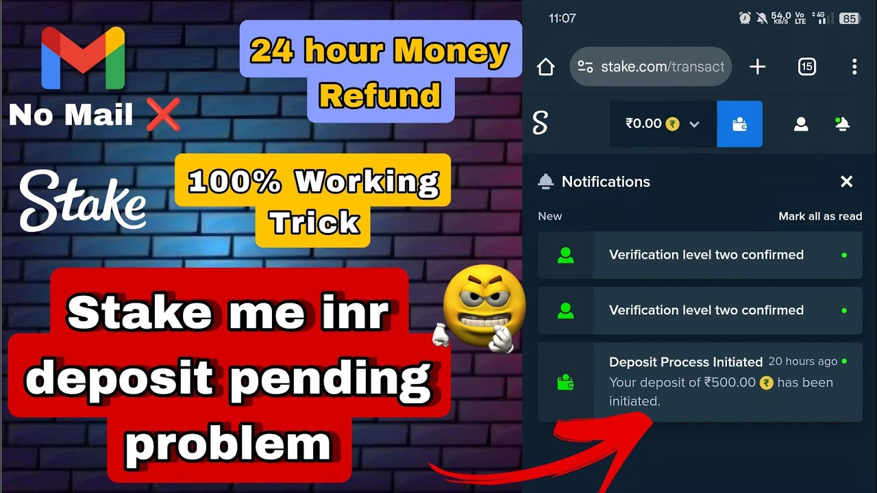 stake deposit pending problem | stake deposit problem | stake deposit process initiated