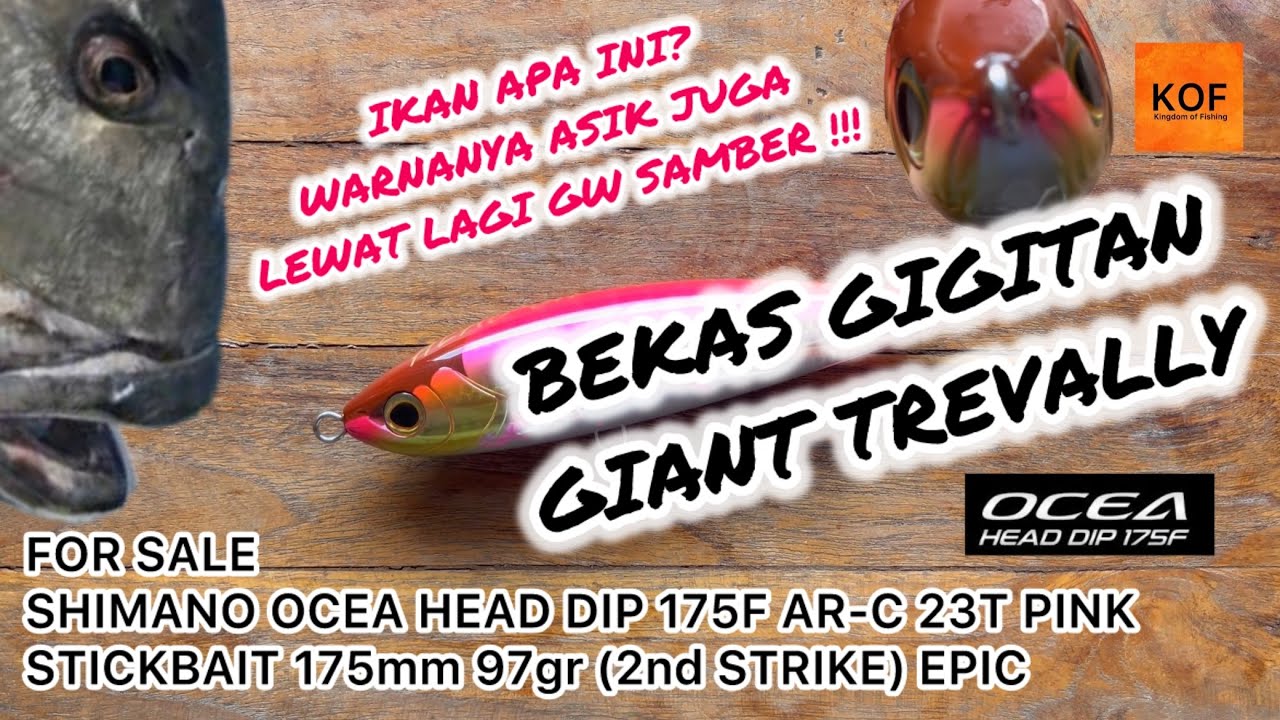 #041 COBAIN ‼️ STICKBAIT SHIMANO OCEA GEAD DIP AR-C 175mm 97gr 23T PINK (2nd Strike) STICKBAIT EPIC