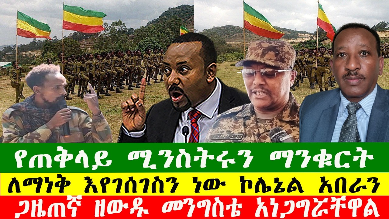 የጠቅላይ ሚንስትሩን ማንቁርት ለማነቅ እየገሰገስን ነው፣ የአፋብን ከፍተኛ የጦር አመራር ኮሌኔል አበራን ጋዜጠኛ ዘውዱ መንግስቴ አነጋግሯቸዋል 250226