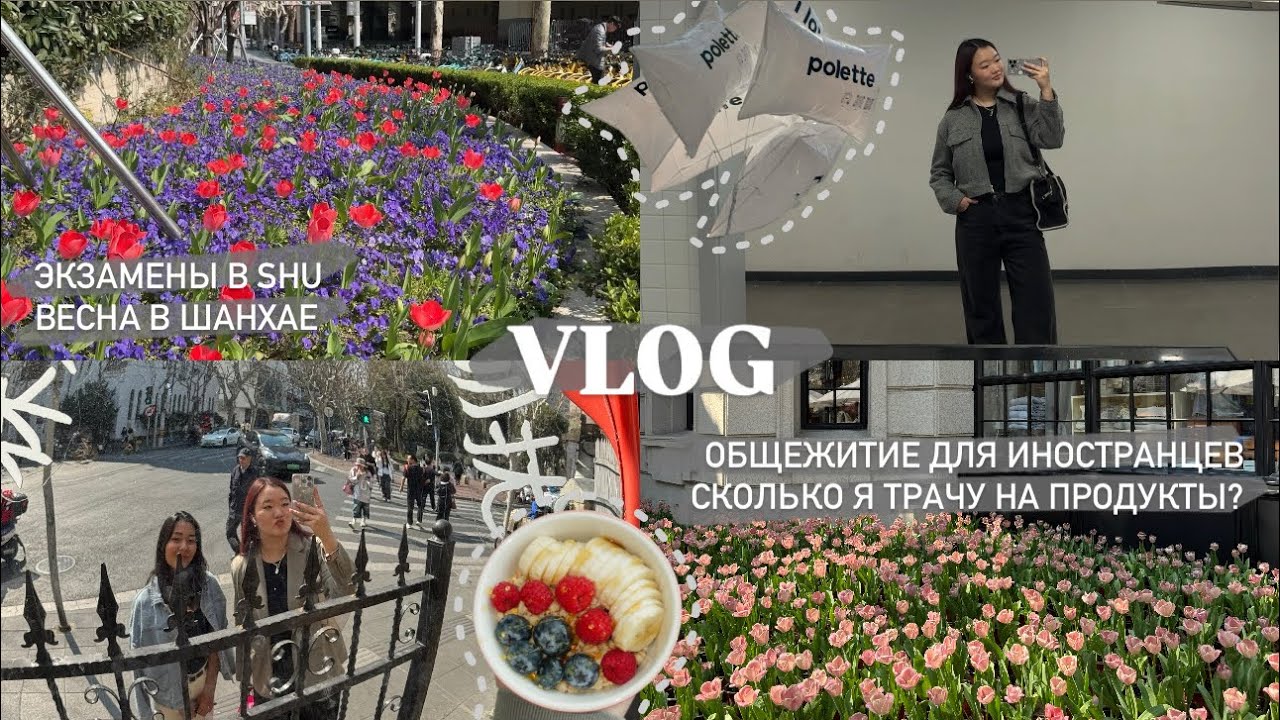 VLOG: экзамены в Shanghai University, весна в Шанхае, общежитие для иностранцев, цены на продукты
