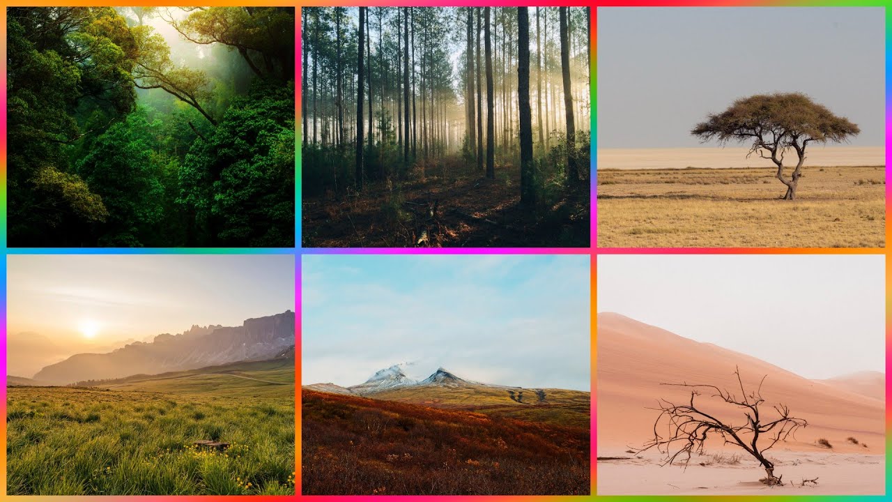 Que Es un Bioma y Tipos de Biomas en el Mundo