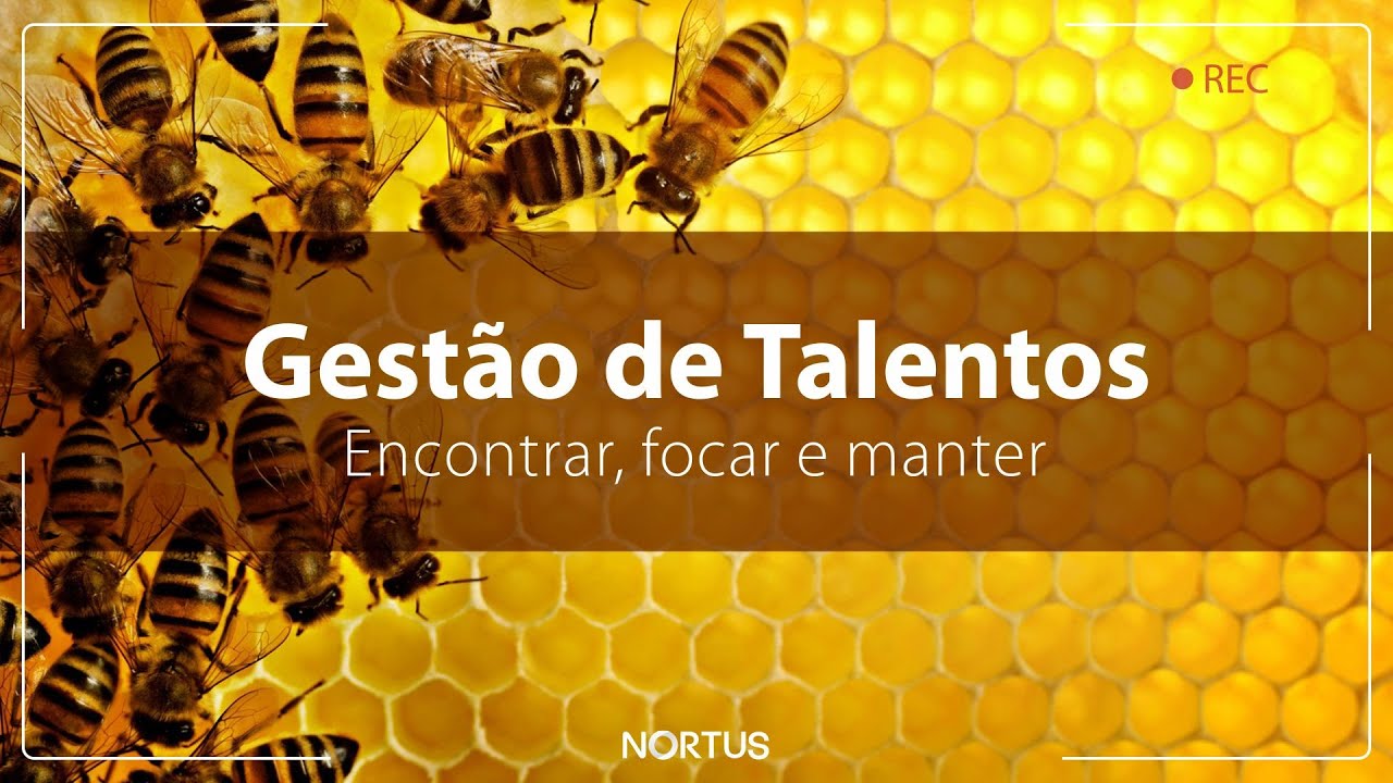 Gestão de talentos - Encontrar, focar e manter
