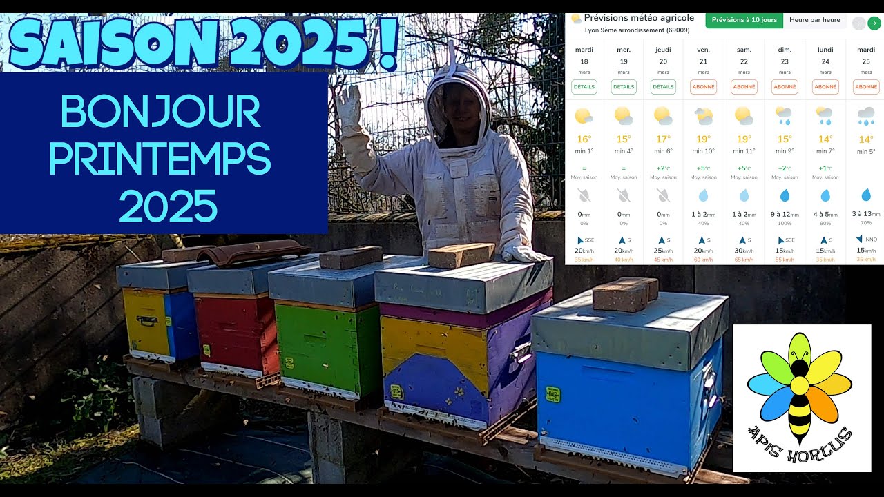 Bonjour printemps 2025 !
