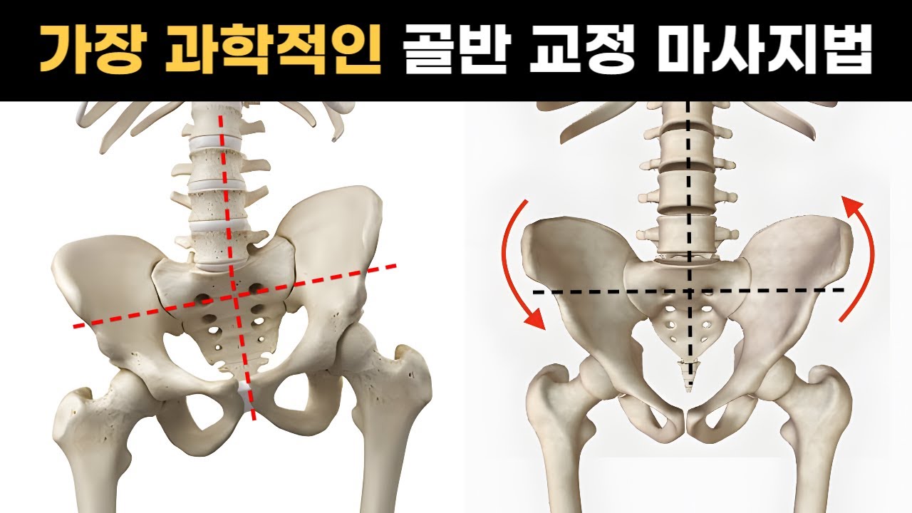 [중둔근 이완] 골반, 발목의 기능에 필수로 관리해야 할 근육