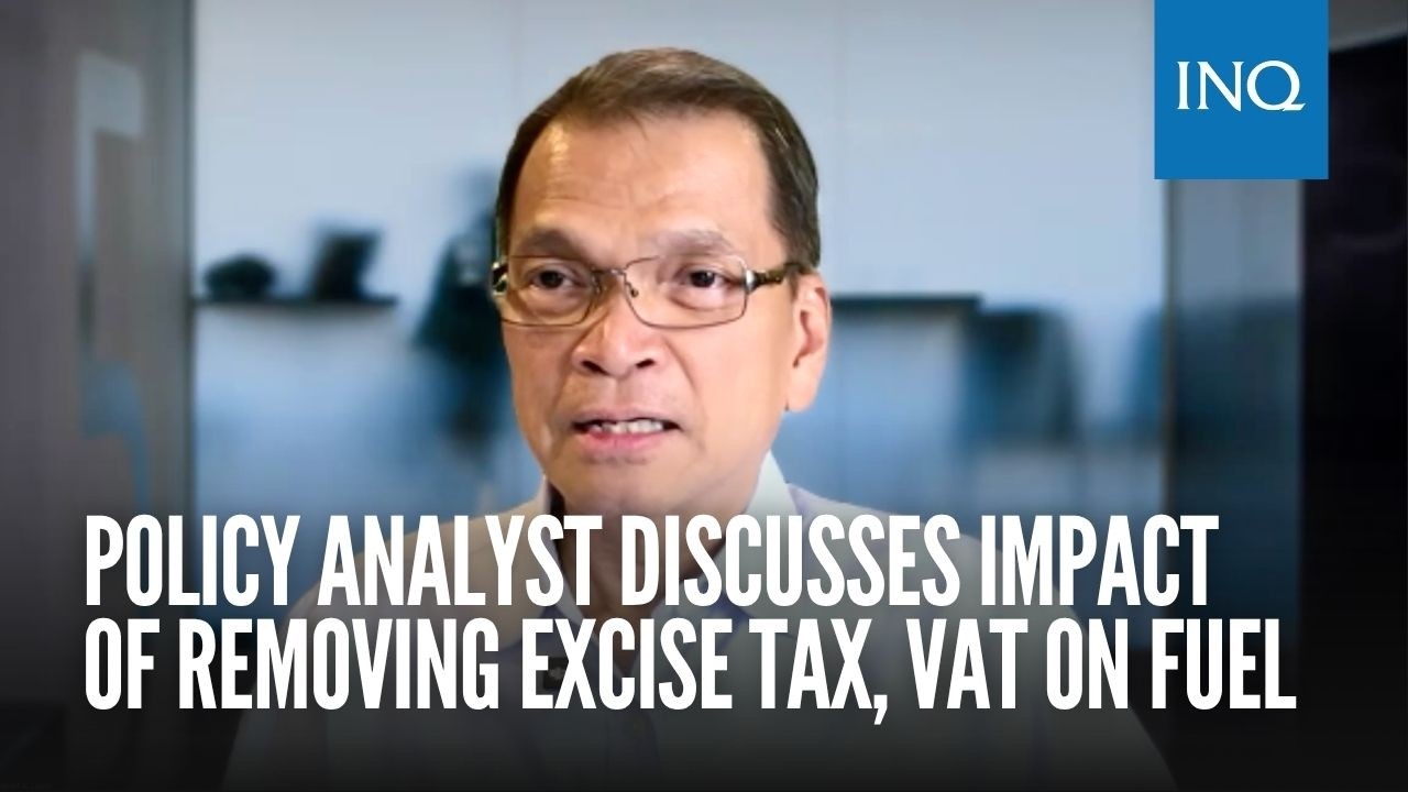Policy analyst discusses impact of removing excise tax, VAT on fuel