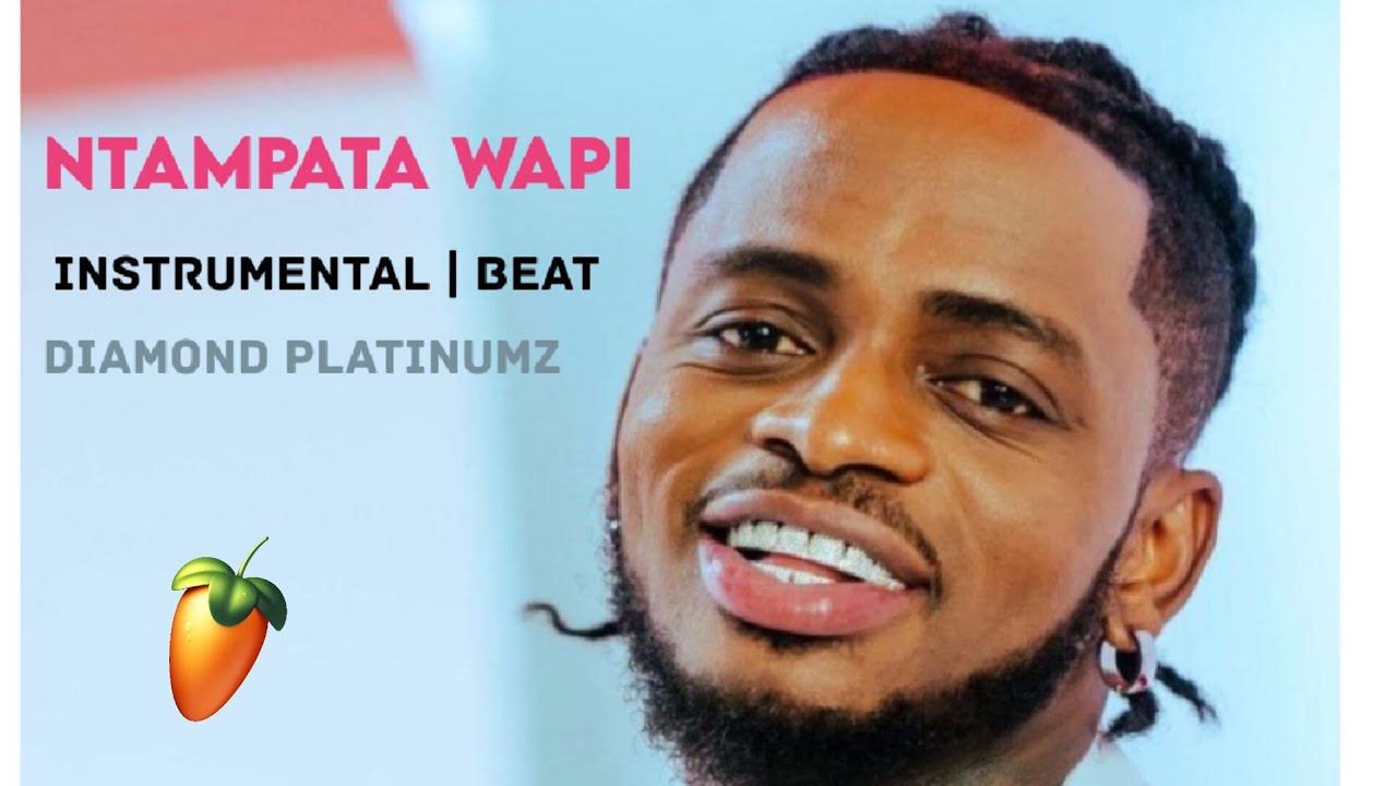 Diamond Platinumz  Ntampata wapi | Instrumental Beat